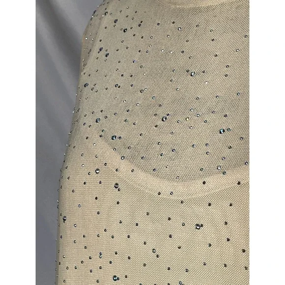 Forever 21 Beige Sequined Woven Dress Plus Size 0X NWT - Picture 4 of 12